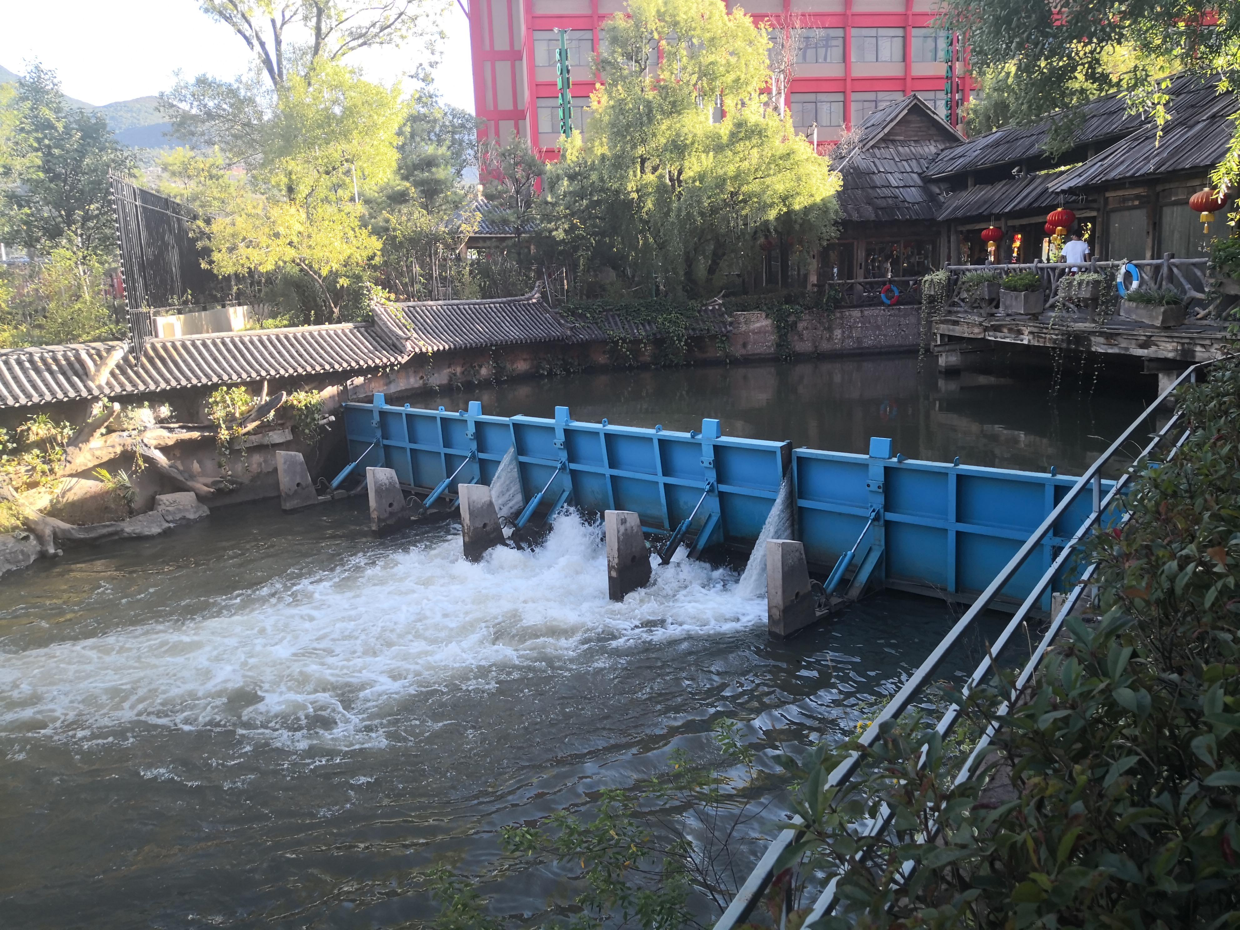 ���(y��)�l�T