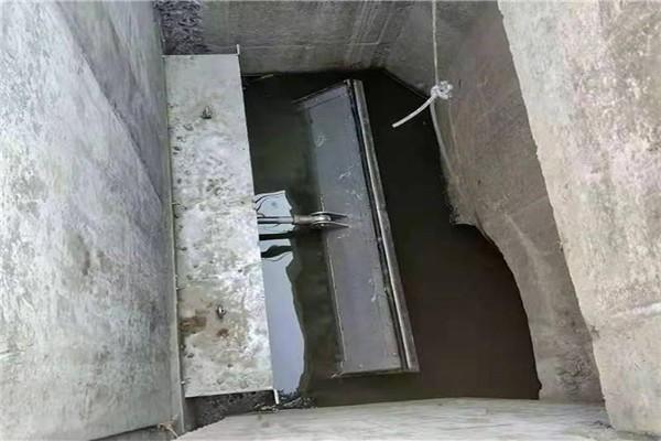 ���Dʽ�{���������T